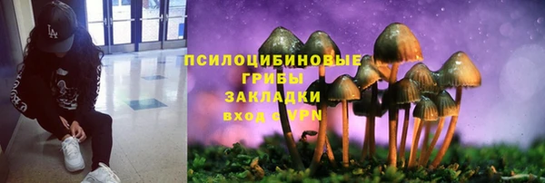 сатива Лихославль