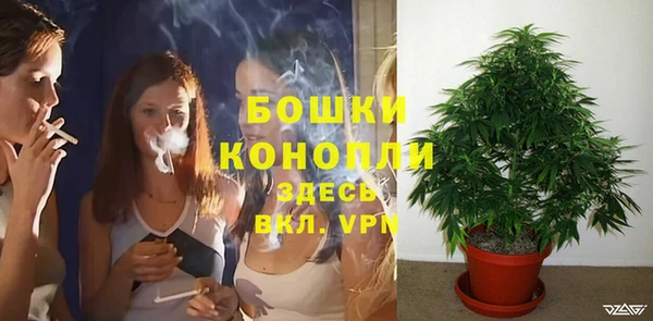 сатива Лихославль