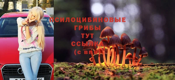 сатива Лихославль