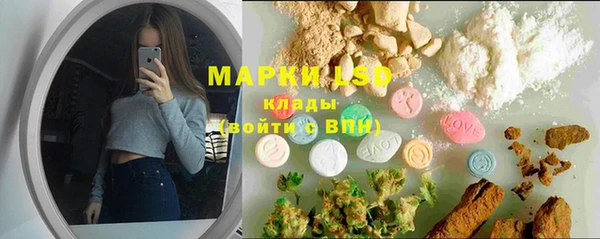 сатива Лихославль